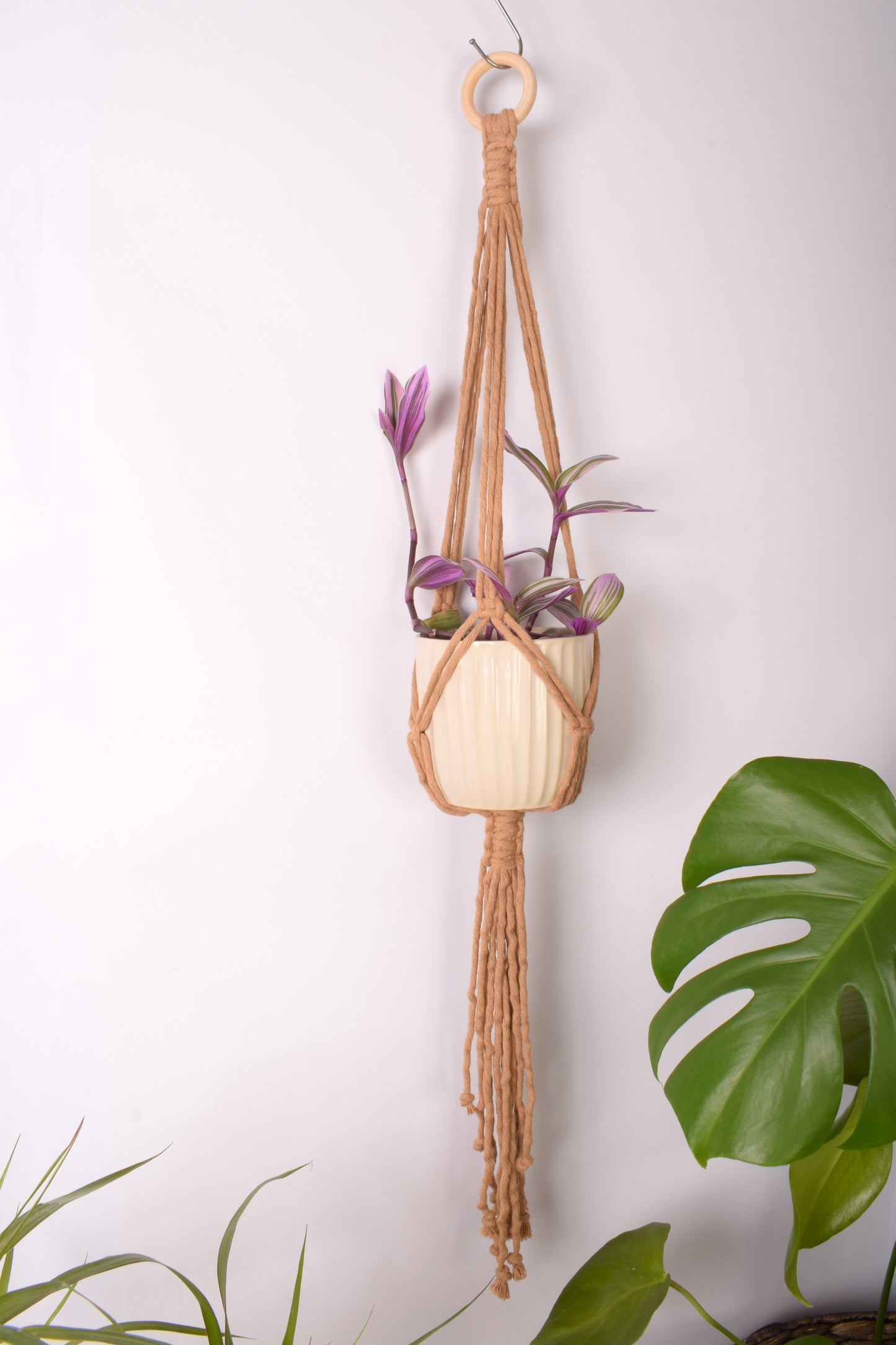 Minimalist Plant Hanger