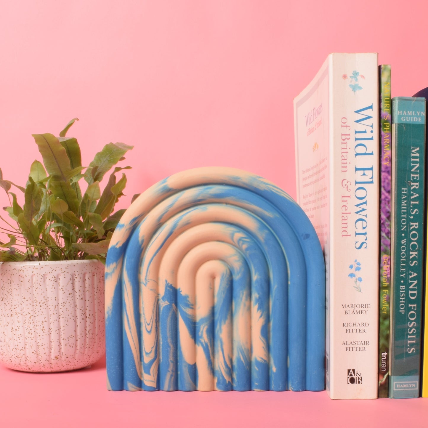 A blue and beige marble effect arched bookend holding up 3 books. There is a plant in a white pot behind.