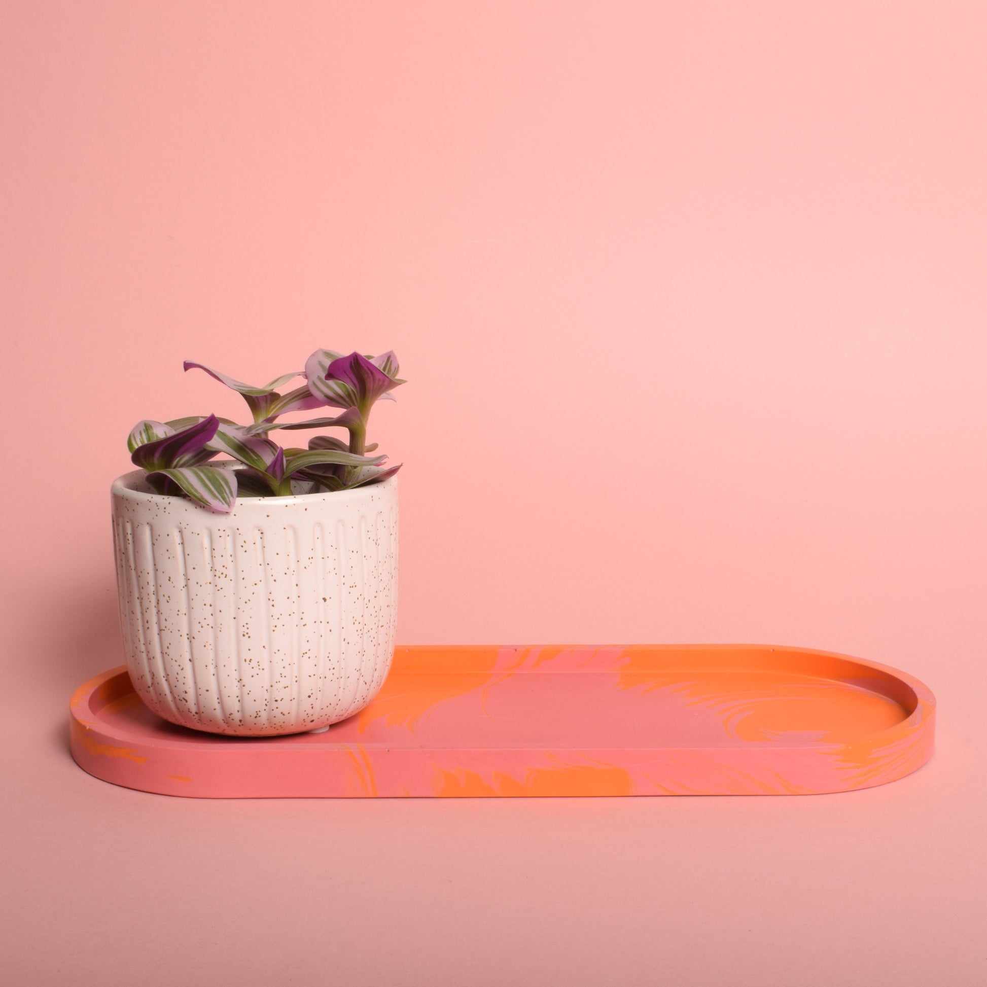 A large oval pink and orange marble effect trinket tray, holding a plant pot.