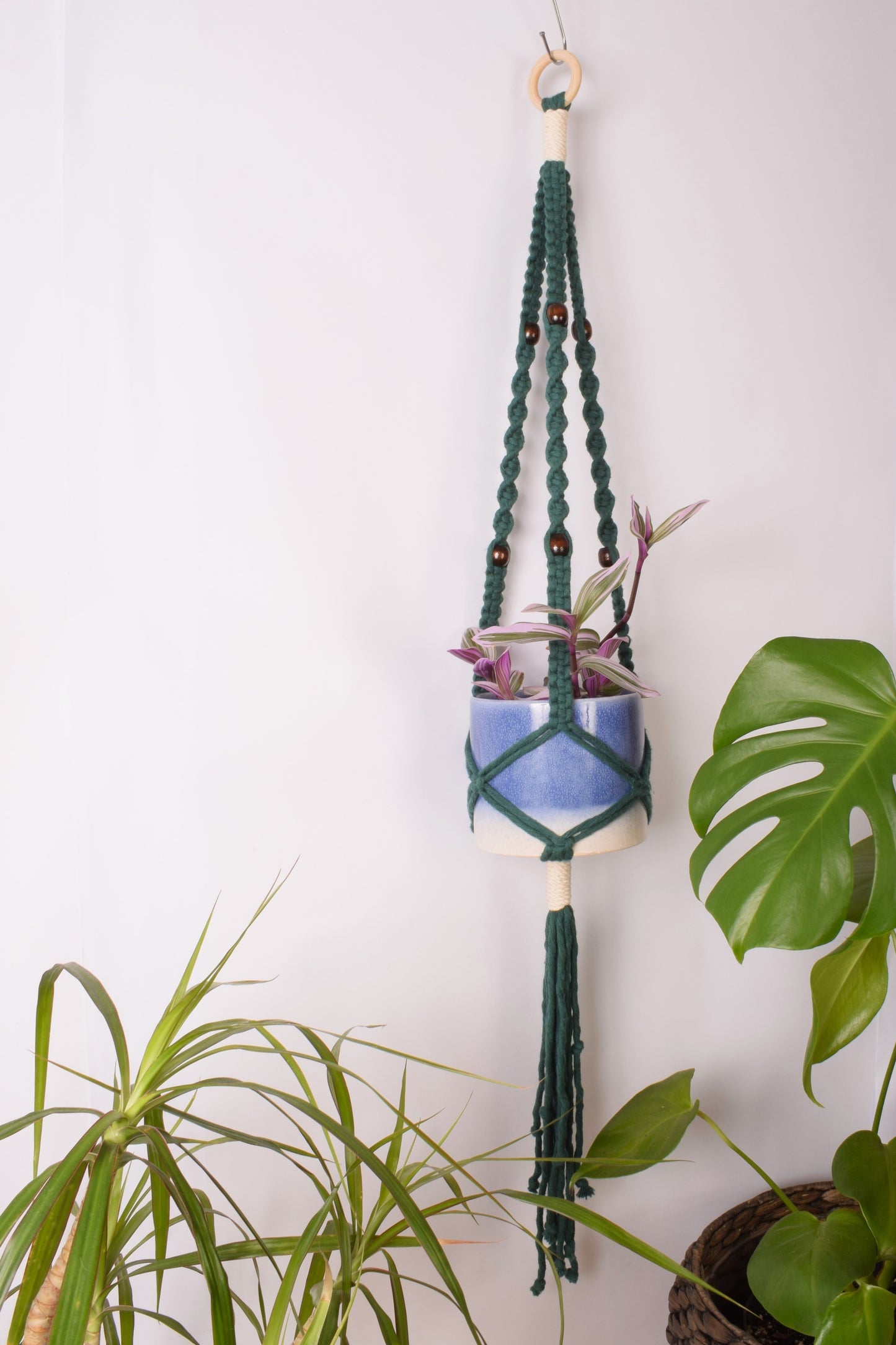 Nancy Plant Hanger