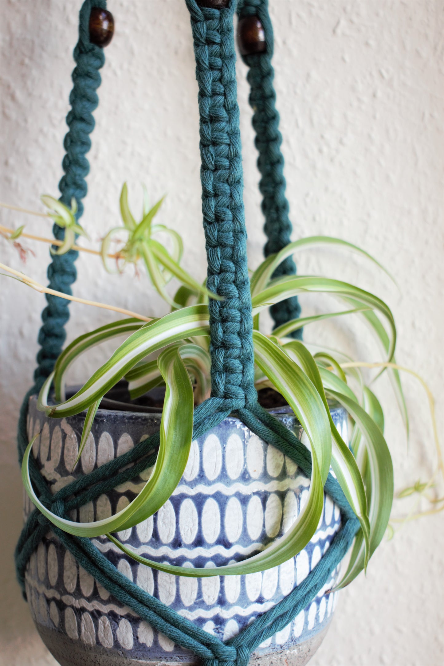 Nancy Plant Hanger