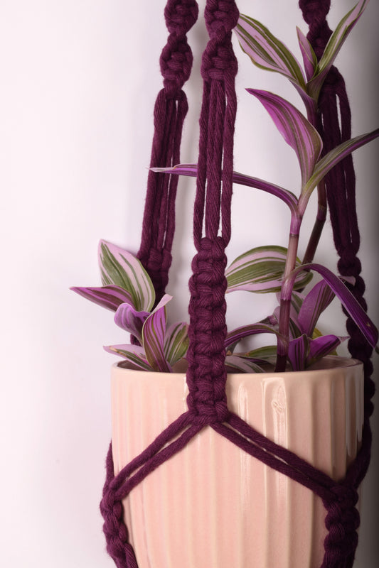 Josephine Plant Hanger