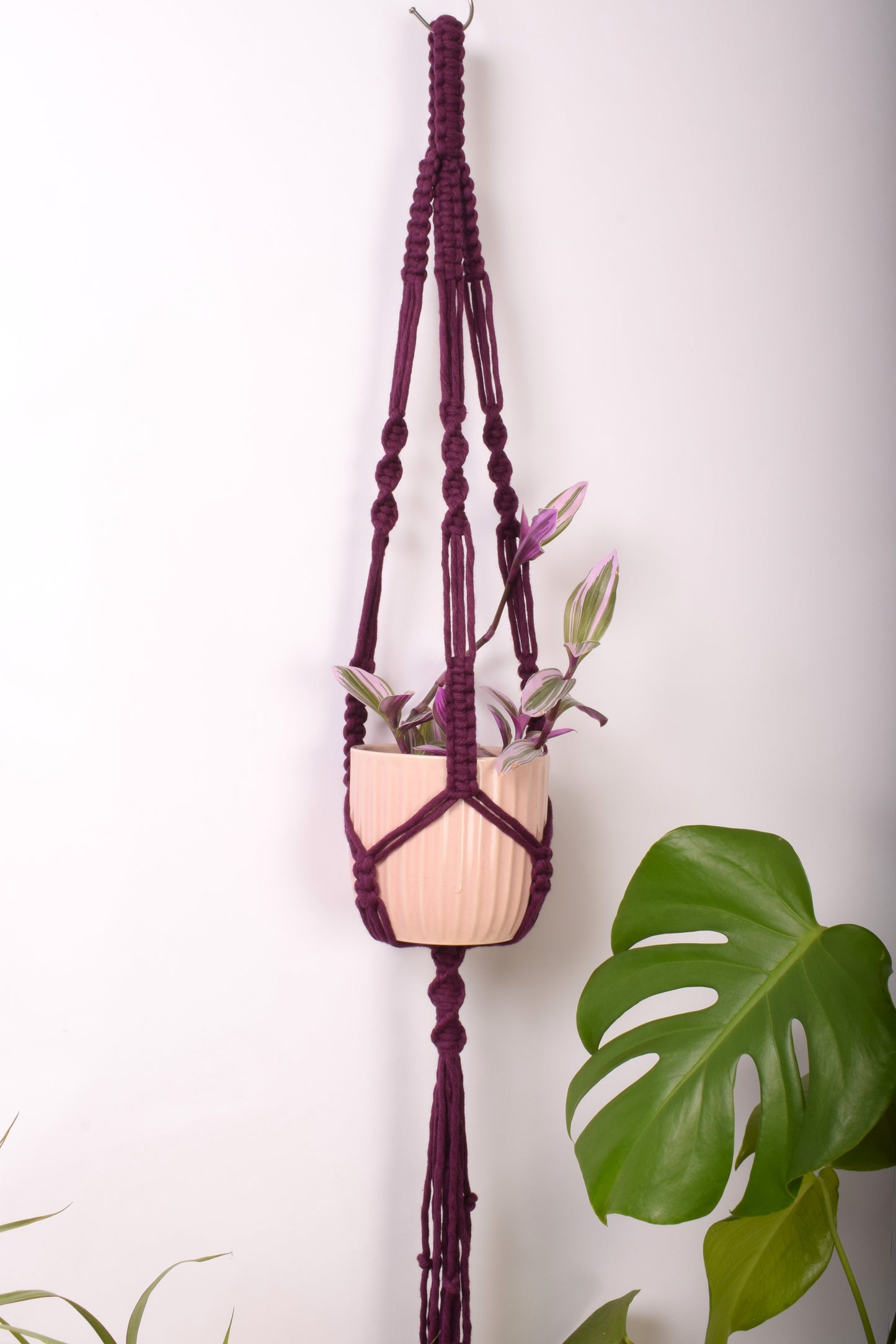 Josephine Plant Hanger