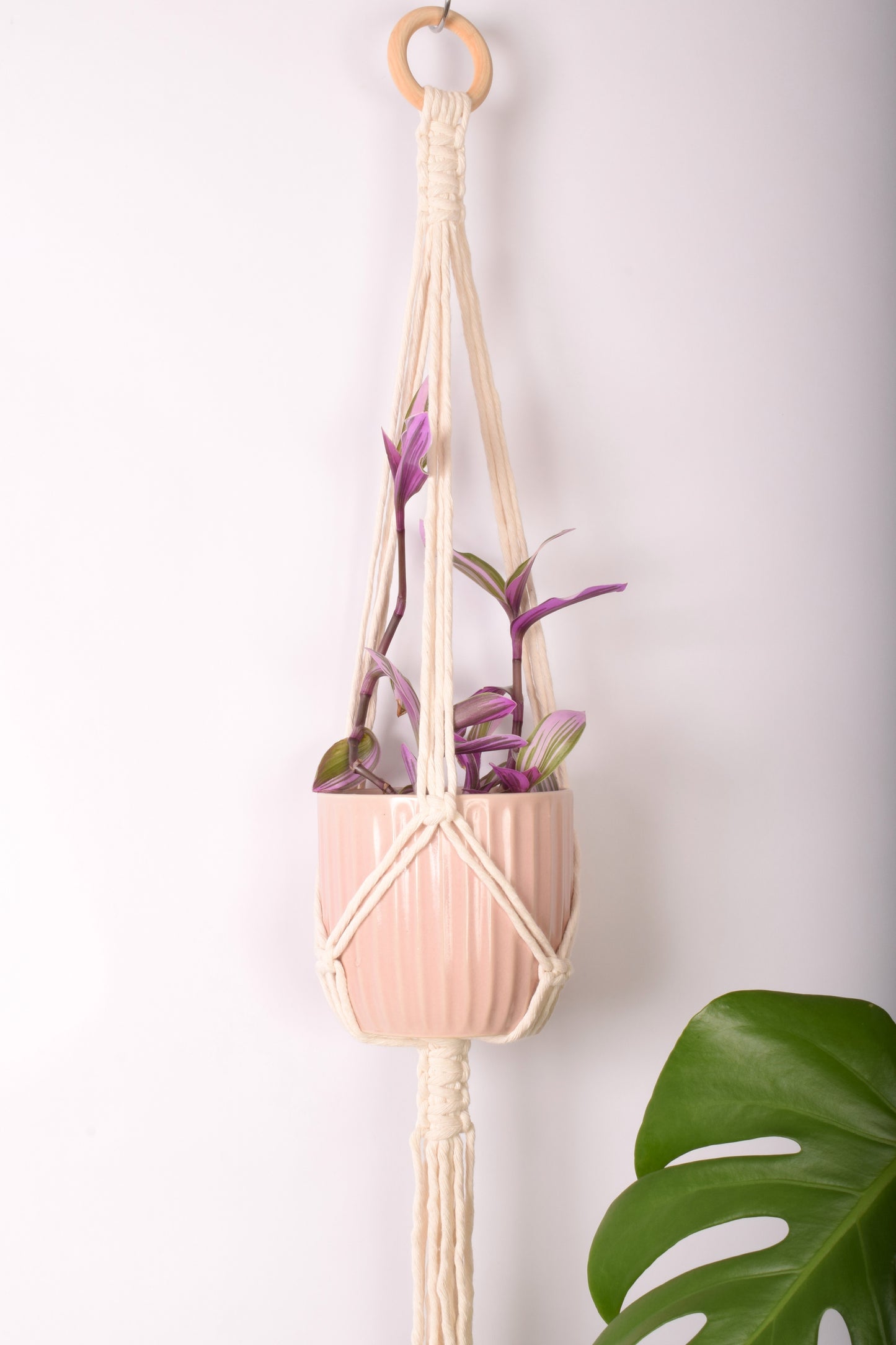 Minimalist Plant Hanger