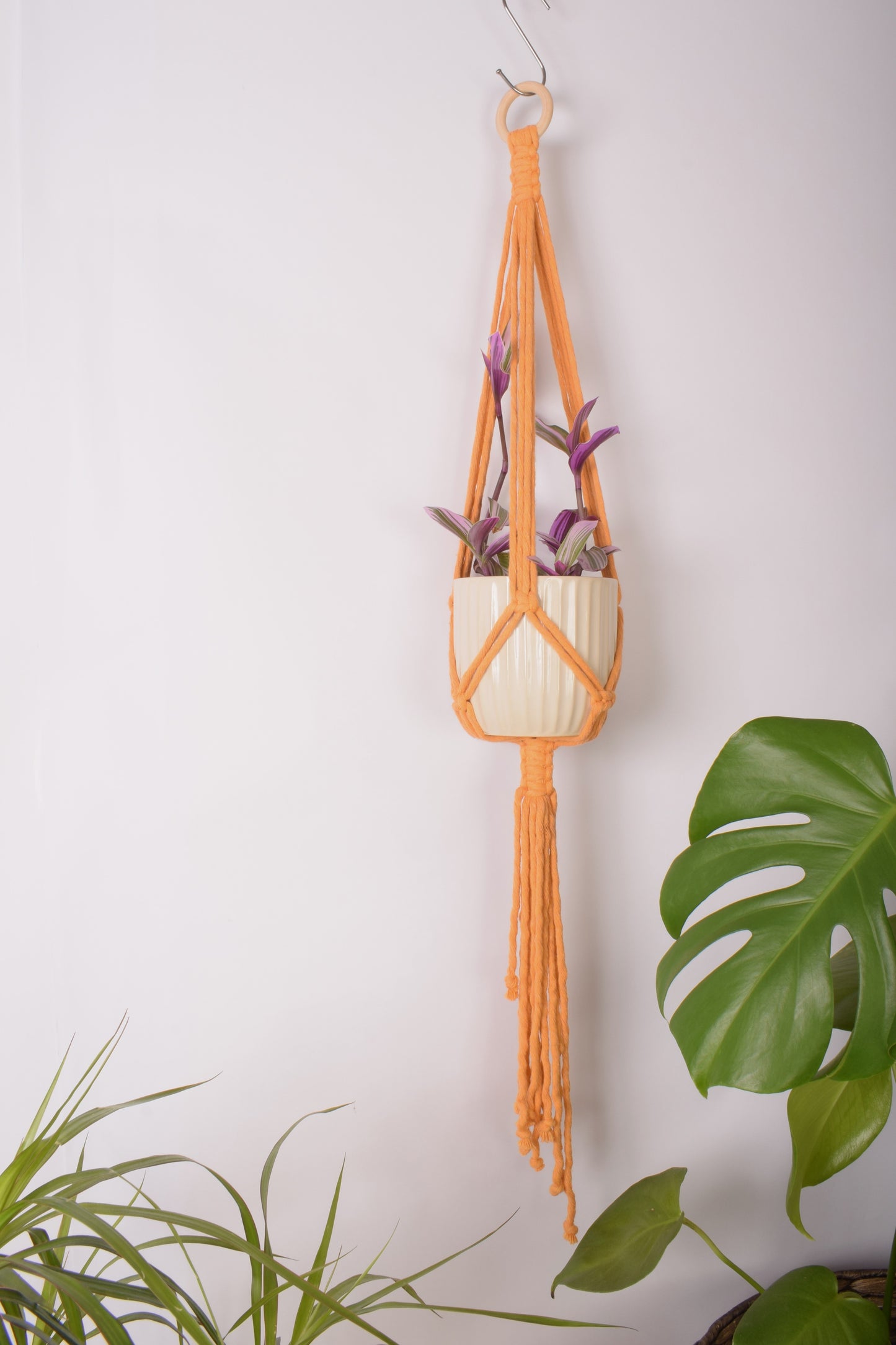 Minimalist Plant Hanger