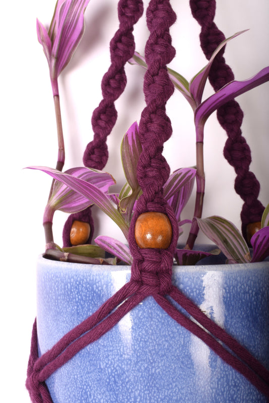 Close-up of a plum-purple spiral knotted plant hanger with brown beads. The hander is holding a purple ceramic pot with a plant in it.